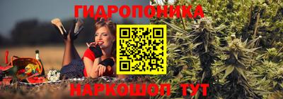 PSILOCYBIN Будённовск