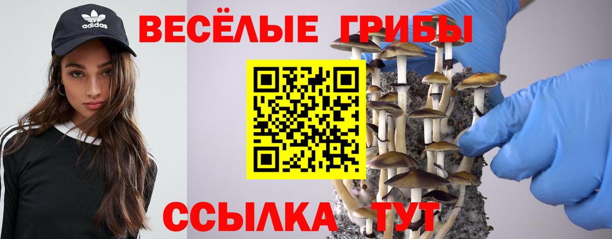 Псилоцибиновые грибы MAGIC MUSHROOMS  Вход с VPN  наркотики  Печора 